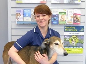 Gemma Smith ANA – Animal Nursing Assistant