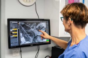 in-house x-ray - Old Hall Vets